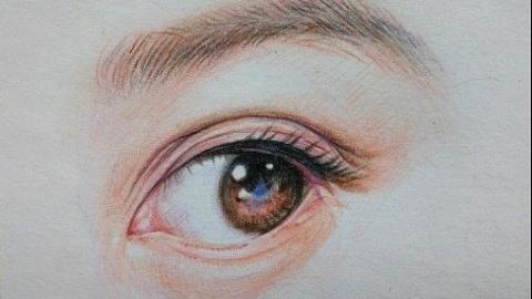 郑州画室专业分析：各类美术专业分析汇总！